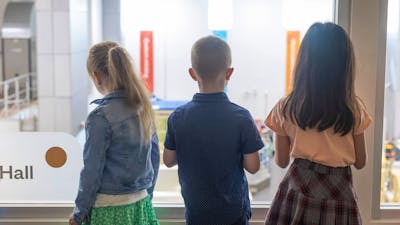 children overlooking the factory at the Mint