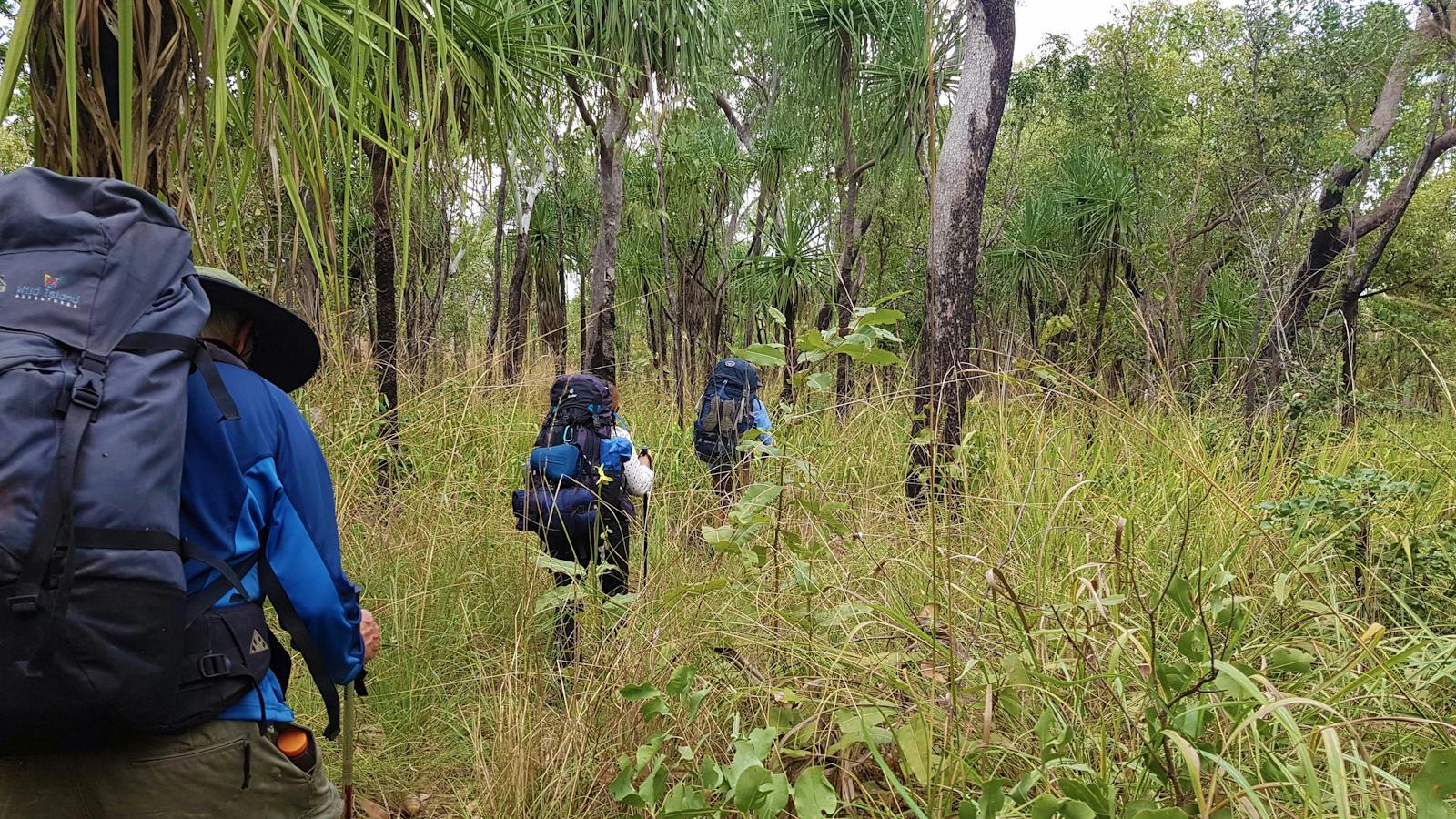 Trekking scenery along the Jatbula Trail