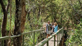 Wangi Falls to Walker Creek – Tabletop Track