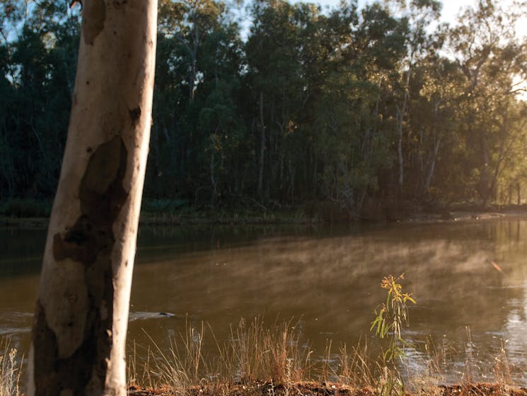 Barmah National Park