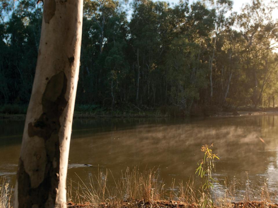 Barmah National Park
