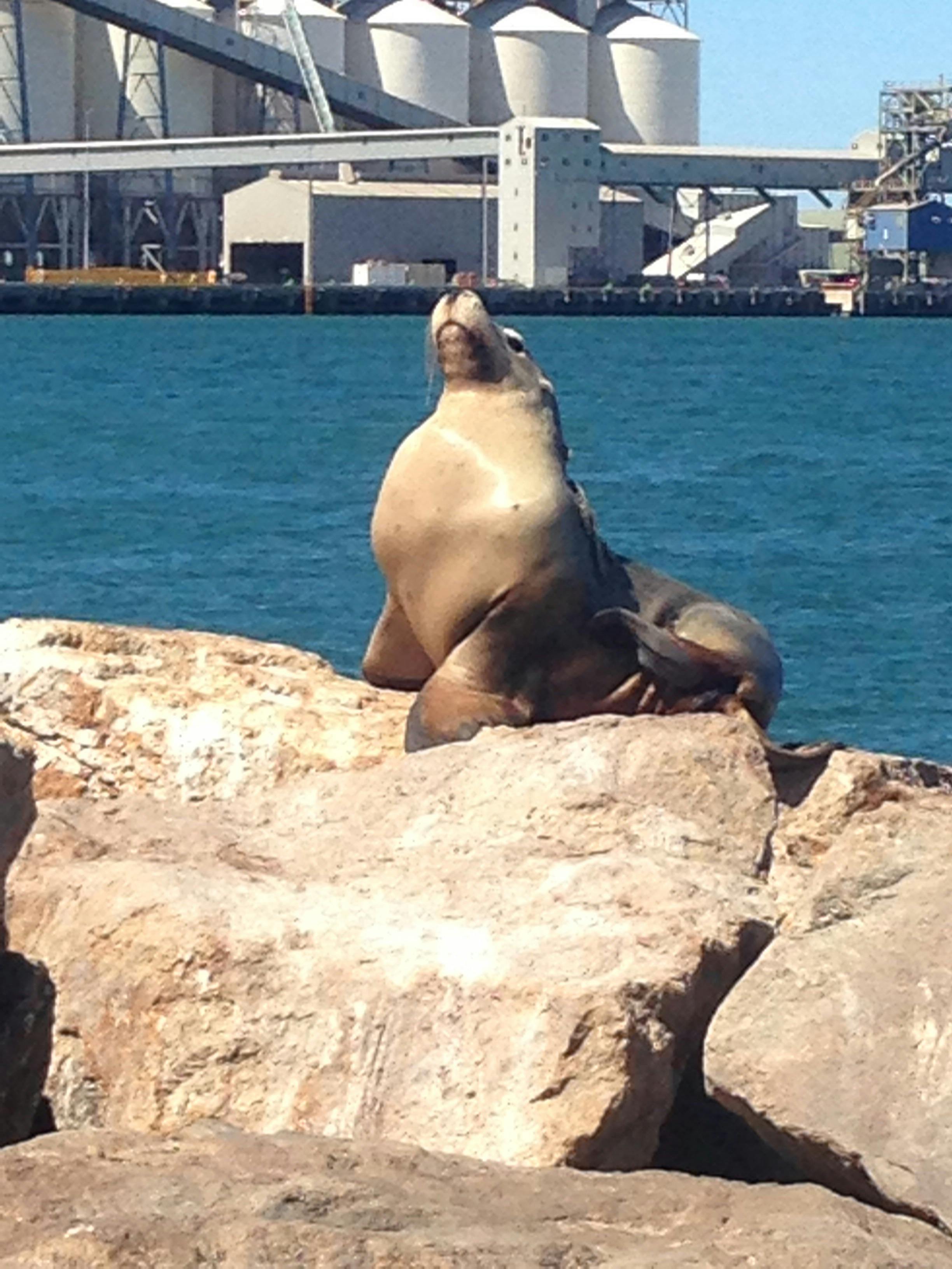 Offshore Charters WA, Geraldton, Western Australia