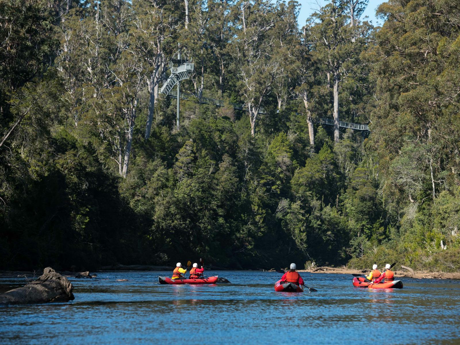 half day family rafting Huon River, Tasmania