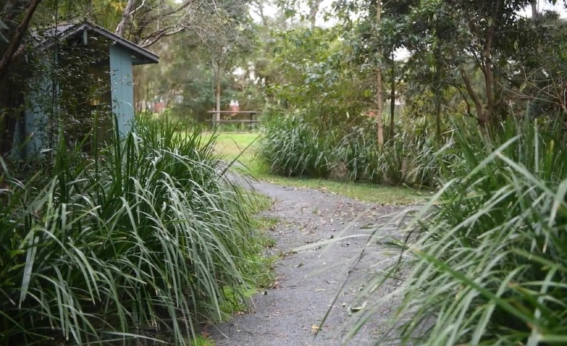 Tucabia Flora Reserve