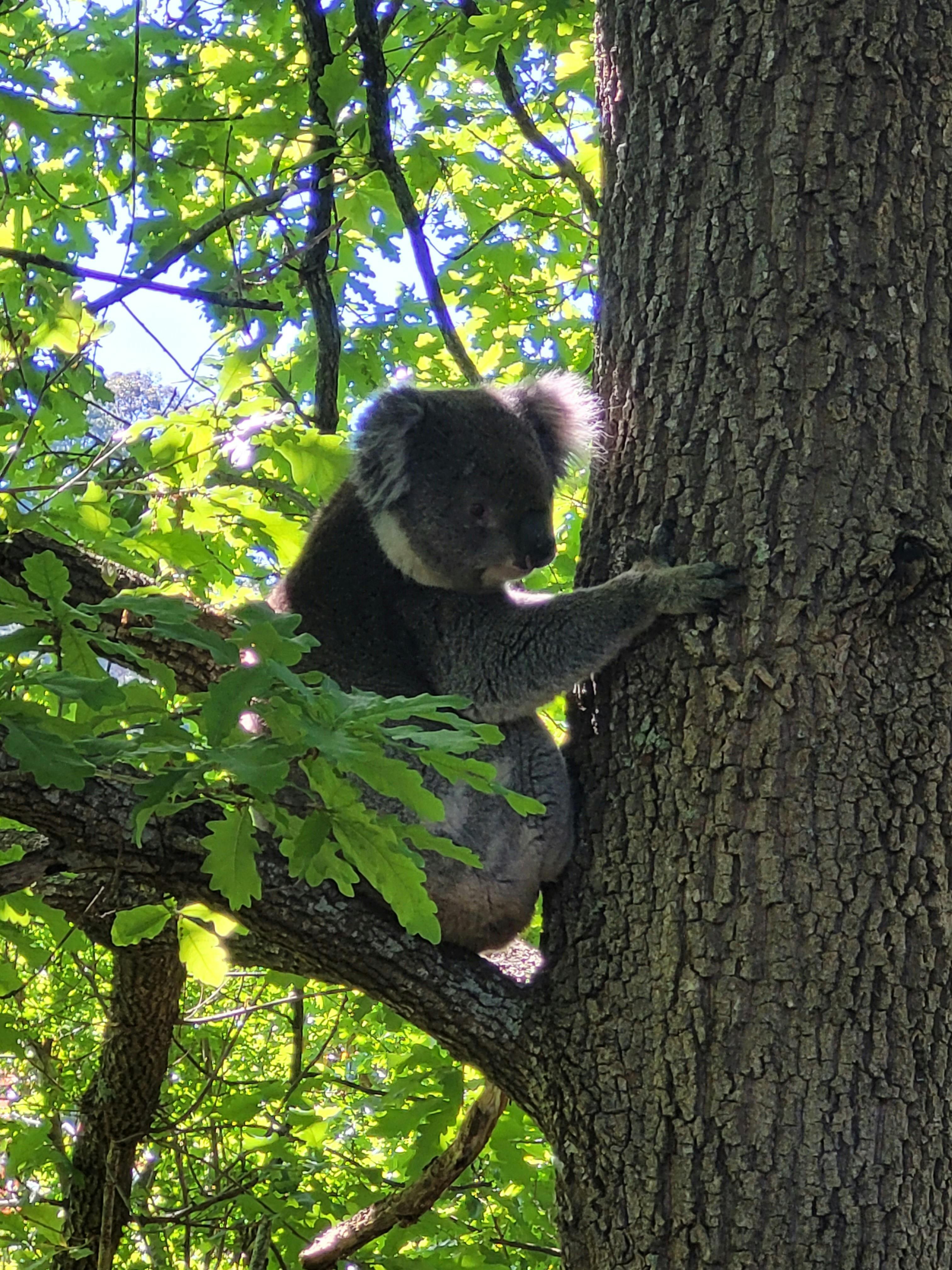 One of our winery friends