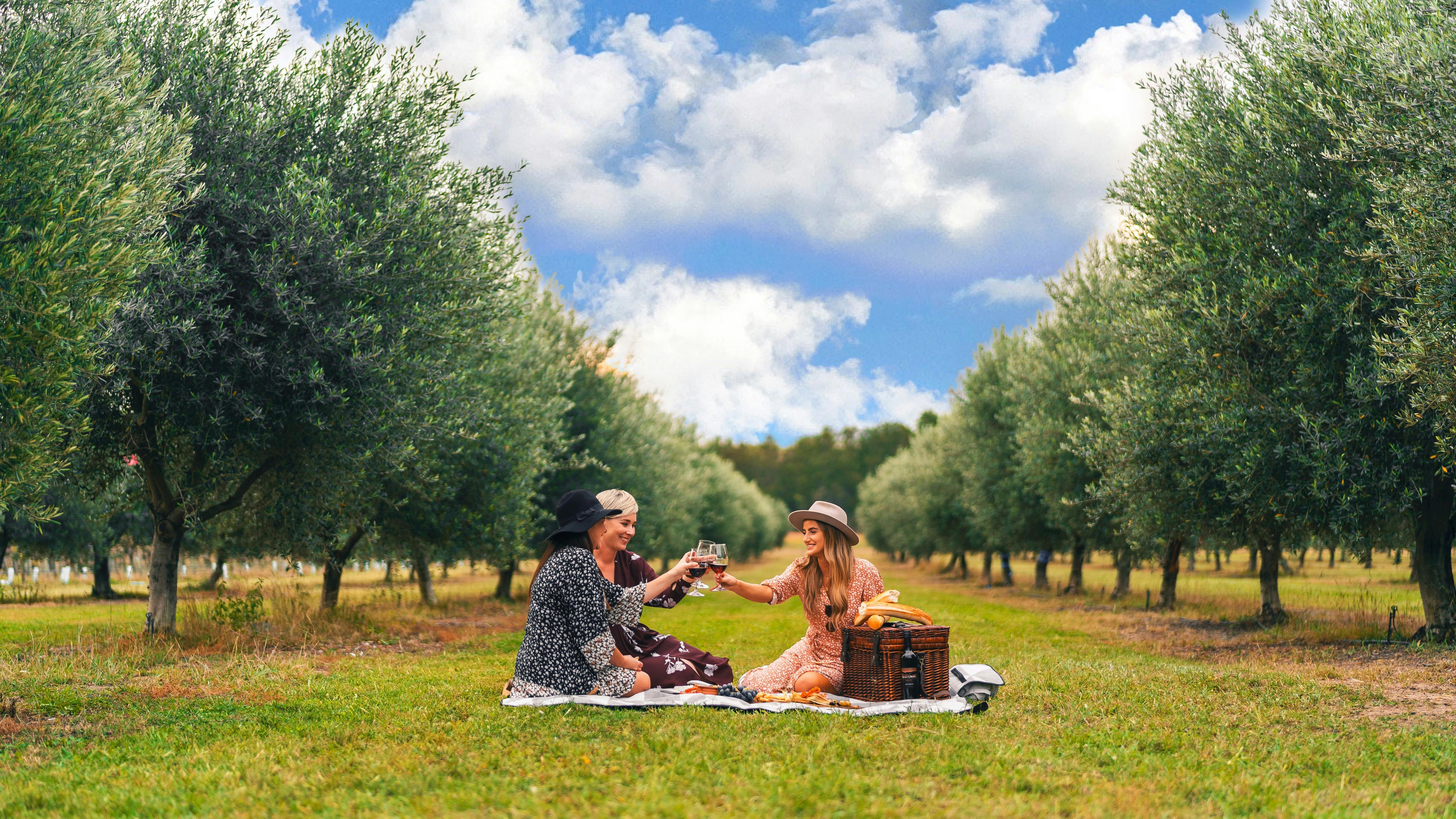 Picnic at Estate Tuscany