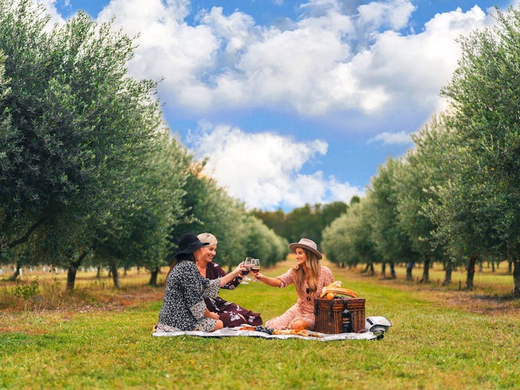 Picnic at Estate Tuscany