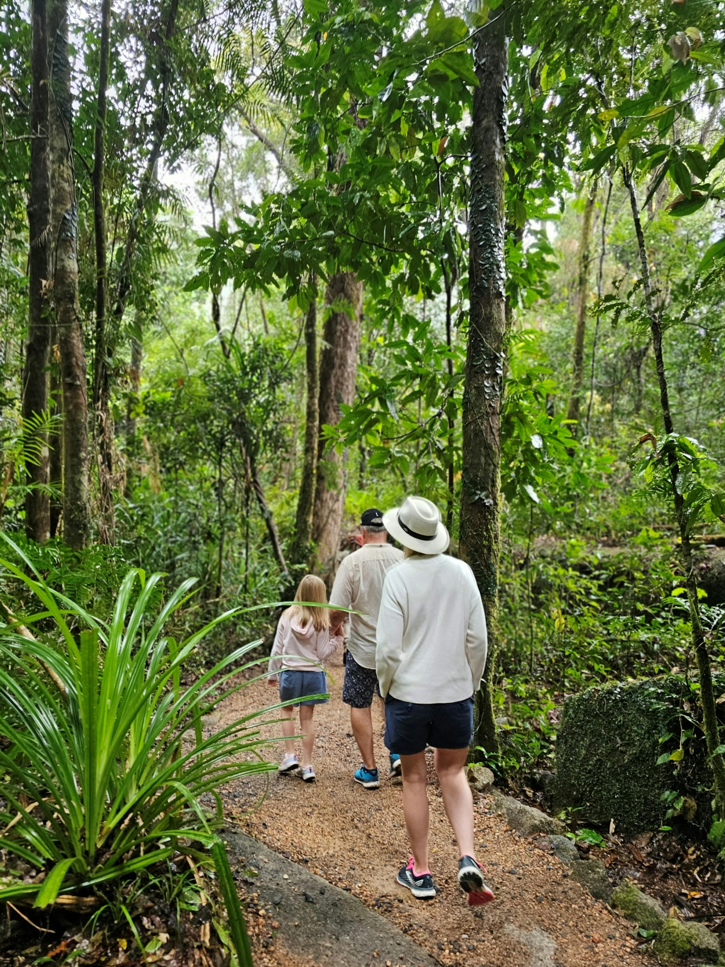 Tour 3A & 3B - Daintree Rainforest, Mossman Gorge & Solar Whisper Crocodile and River Cruise