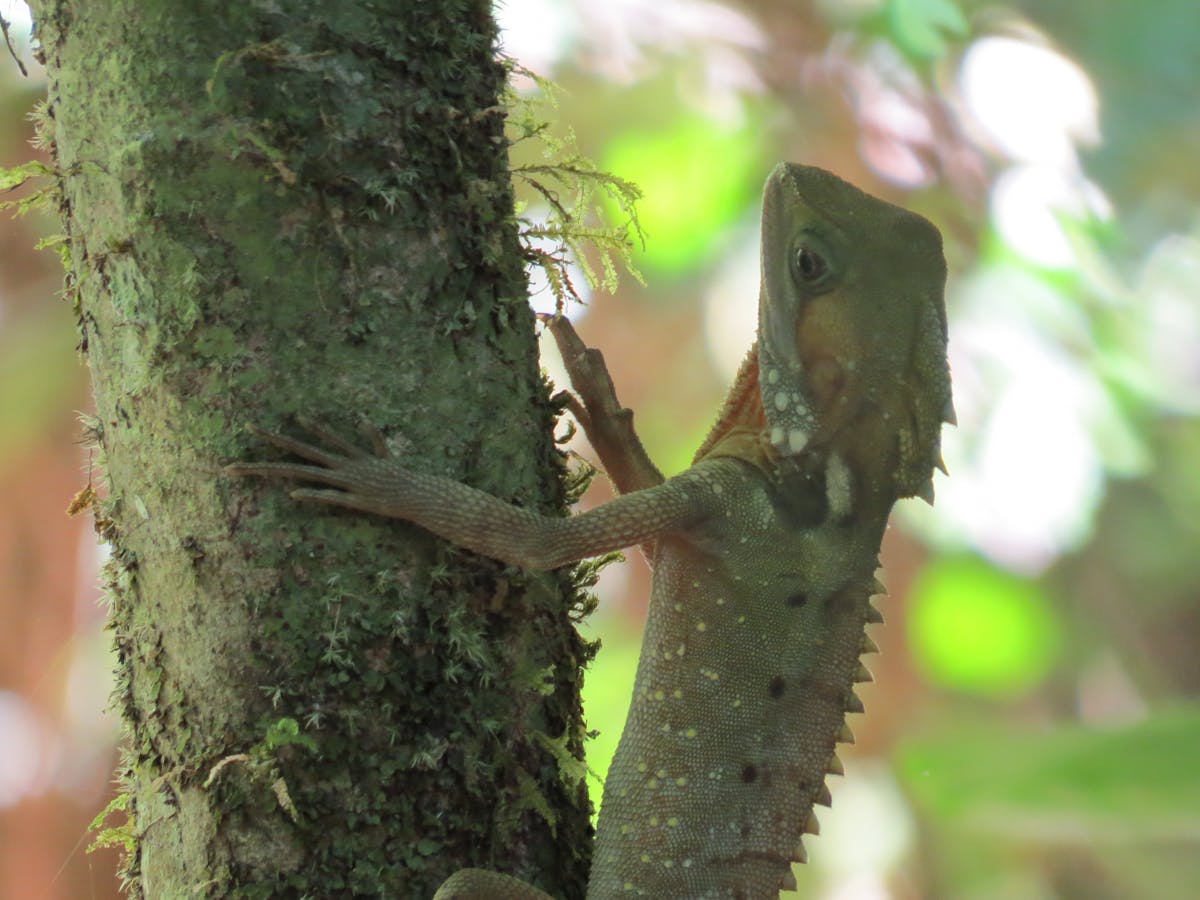 Wildlife spotting tours