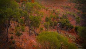 Baldy Top Lookout