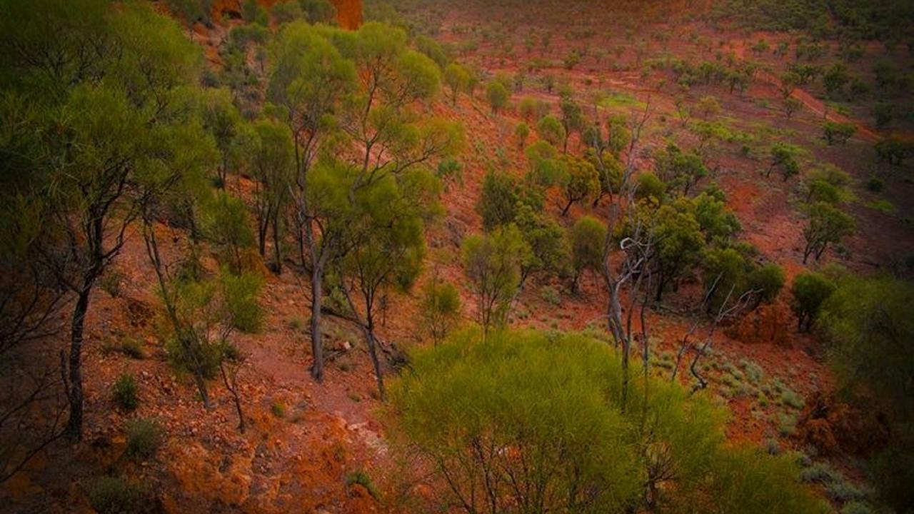 Baldy Top Lookout
