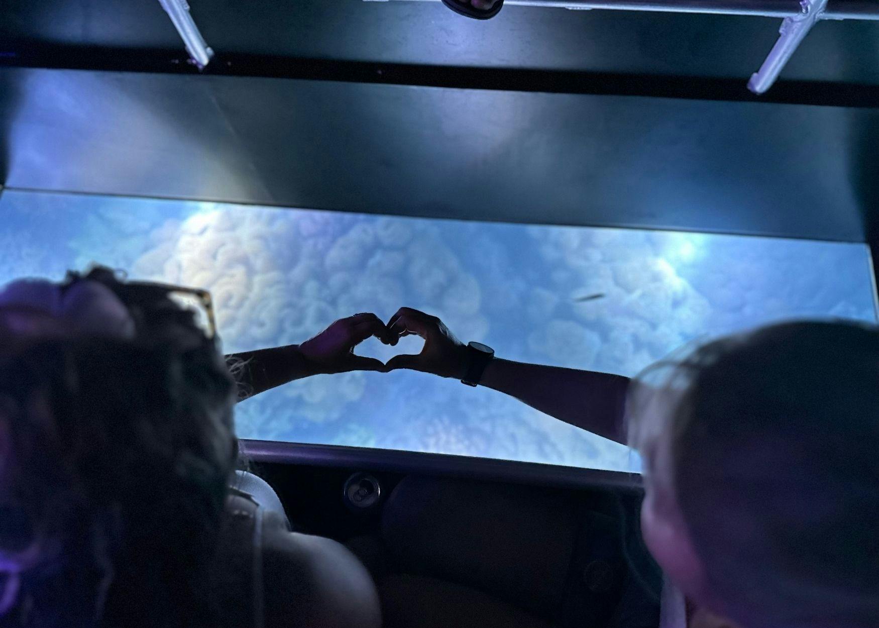 Glass Bottom Boat Night Tour