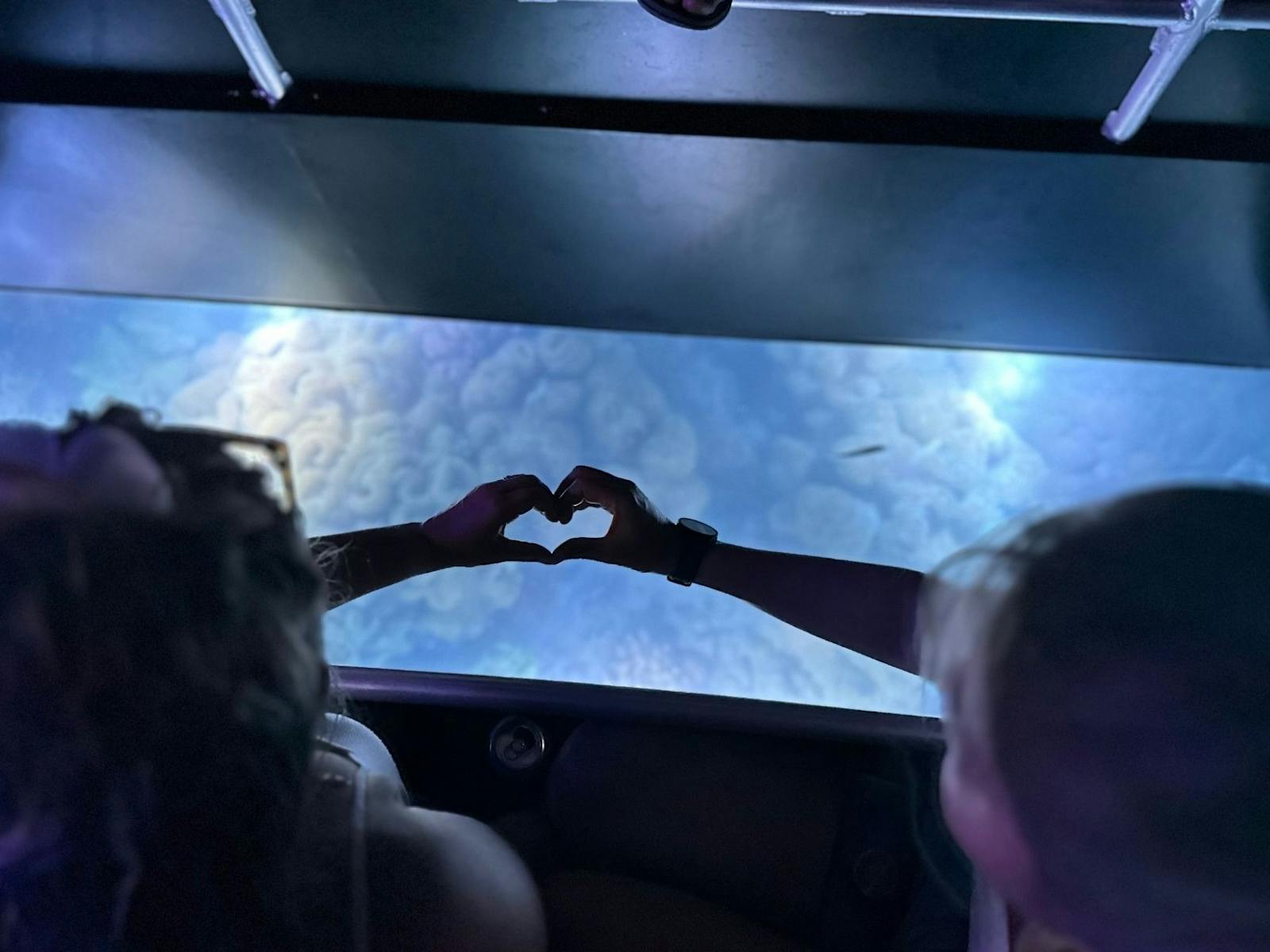 Viewing window showing coral under blue light. 2 guests creating heart with hands over window Viewing window showing coral under blue light. 2 guests creating heart with hands over window