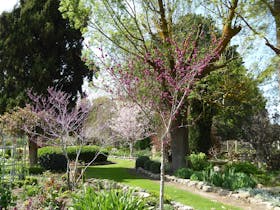 St Mary's Garden