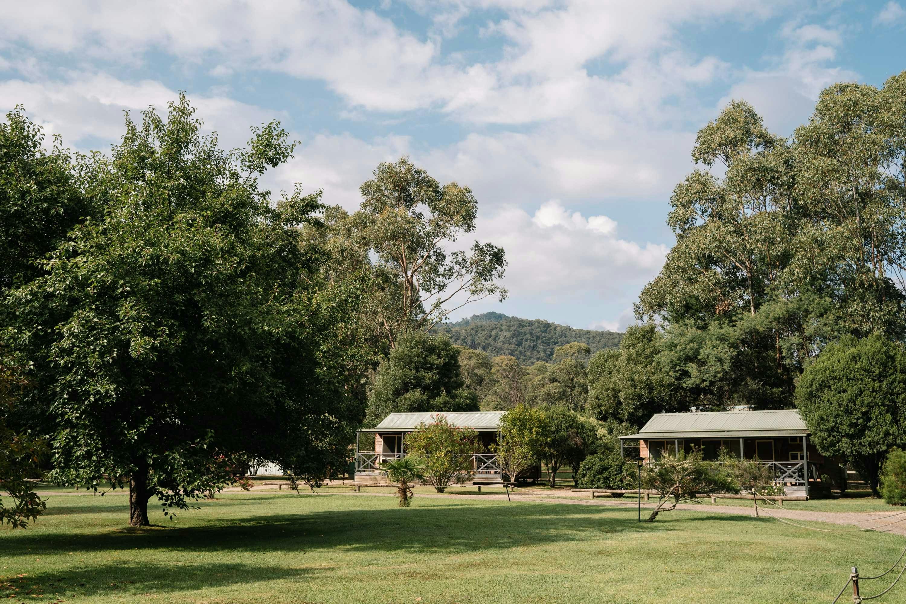 Harrietville Cabins surrounded by Gum trees and mountains
