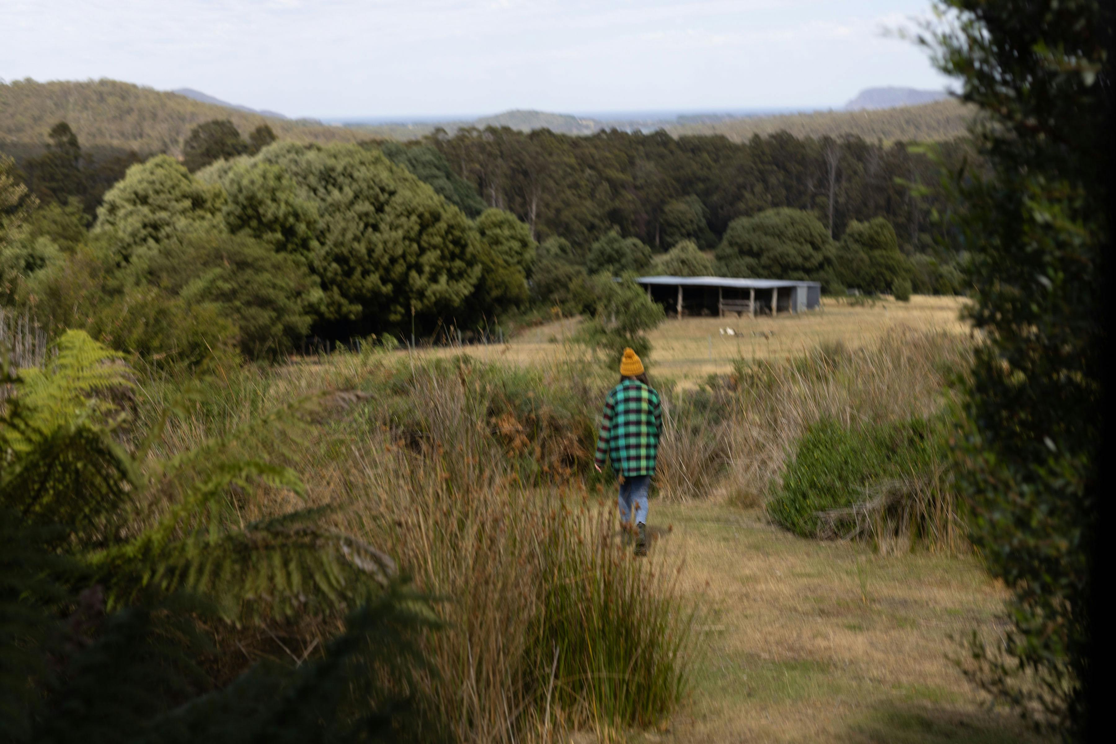 Lady walks down to paddocks, view looking out to Cloudy Bay