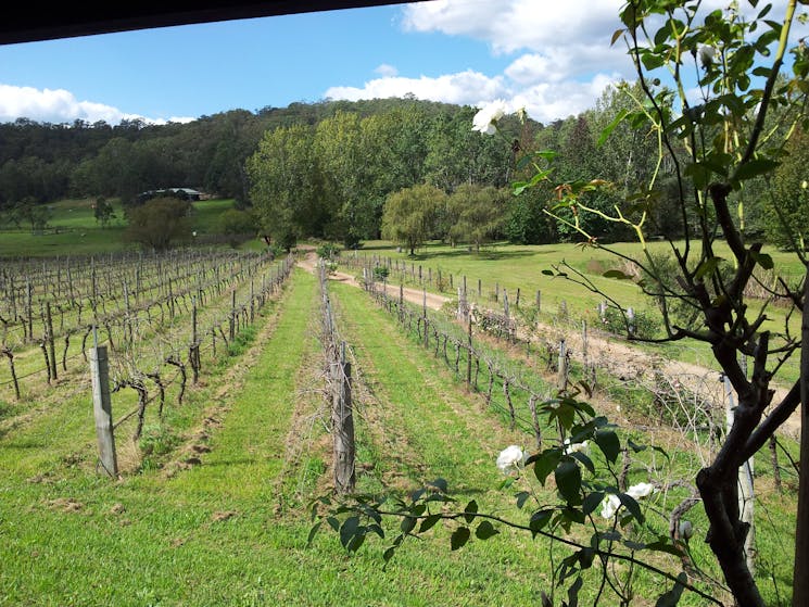 Hunter valley vineyards wine tour 2 days