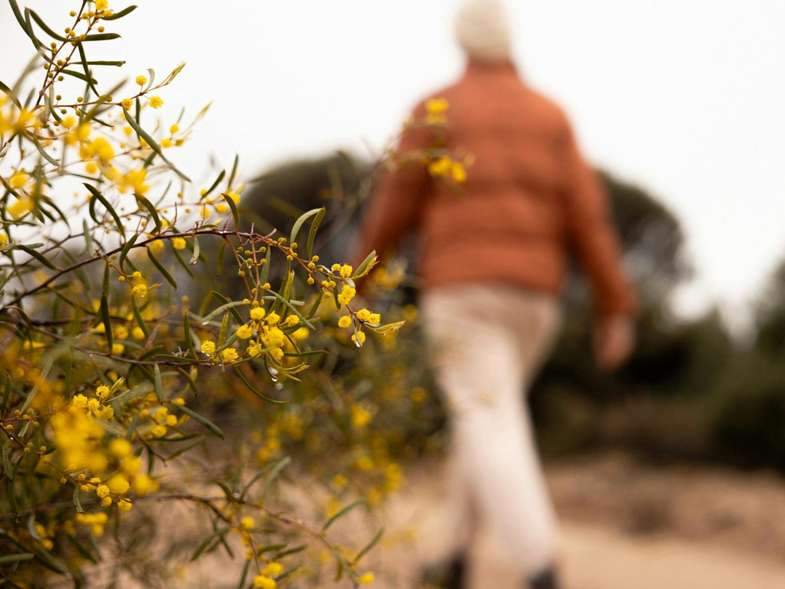 Person walking through wildflowers on the Wheatbelt Way self drive trail