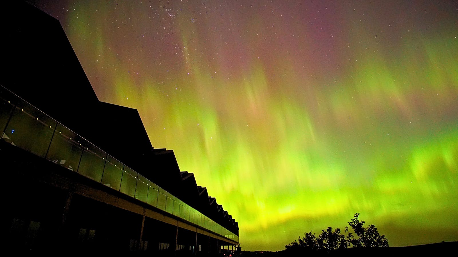 Aurora glowing at ORANI Restaurant