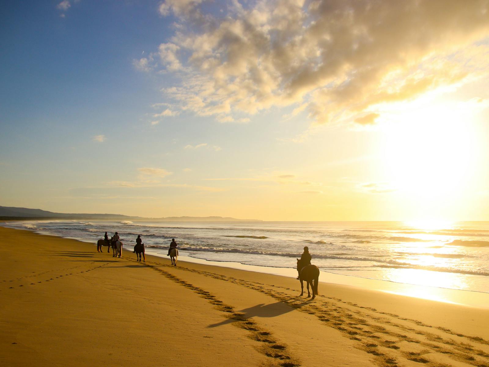A Regal Riding School trail ride at Shoalhaven Heads.