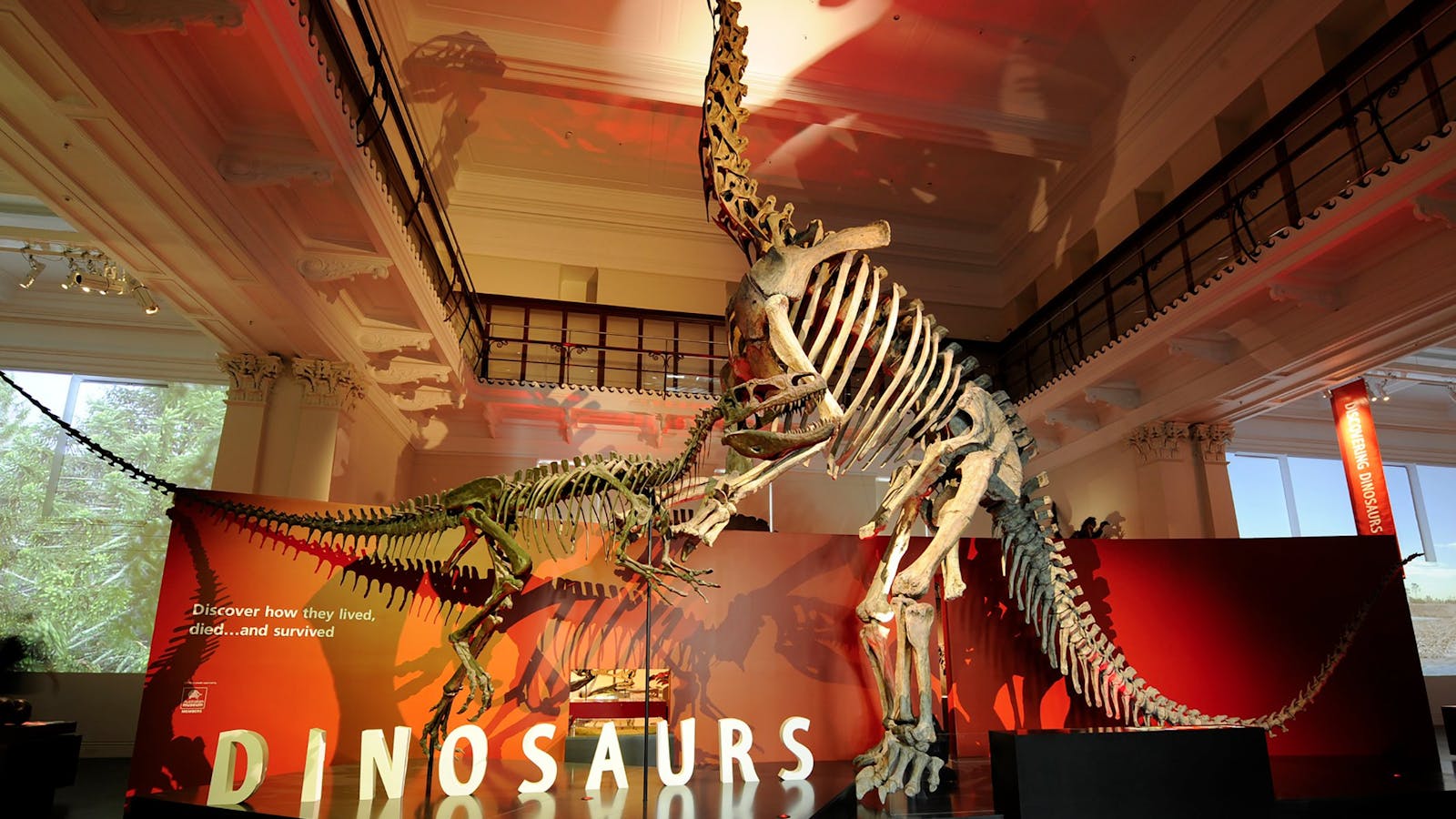Australian Museum