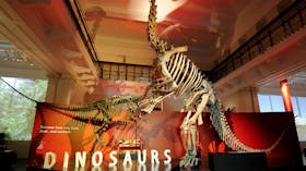 Australian Museum