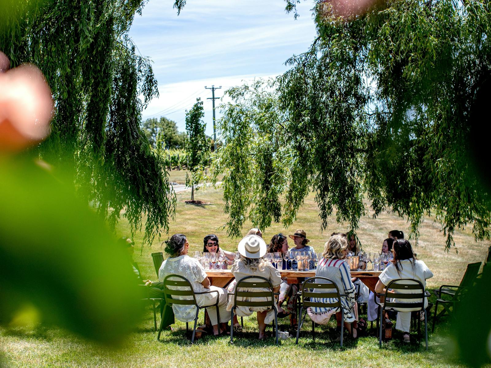 Under the Willows