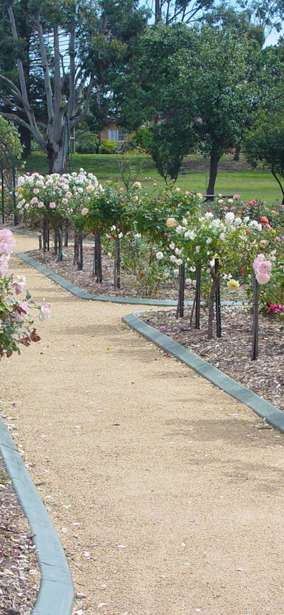 Victoria Park Rose Garden
