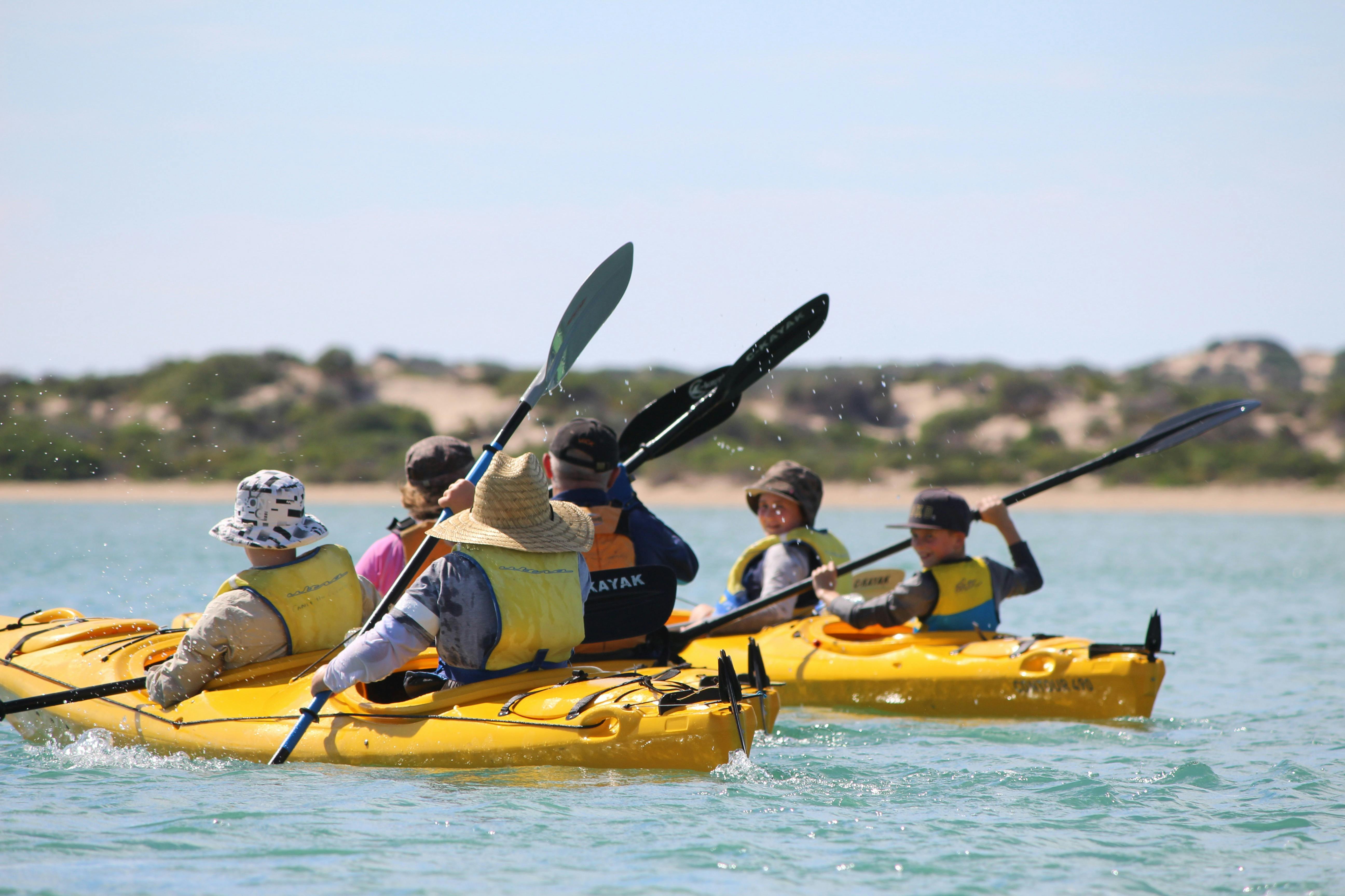 Family friendly kayaking from Goolwa south of Adelaide