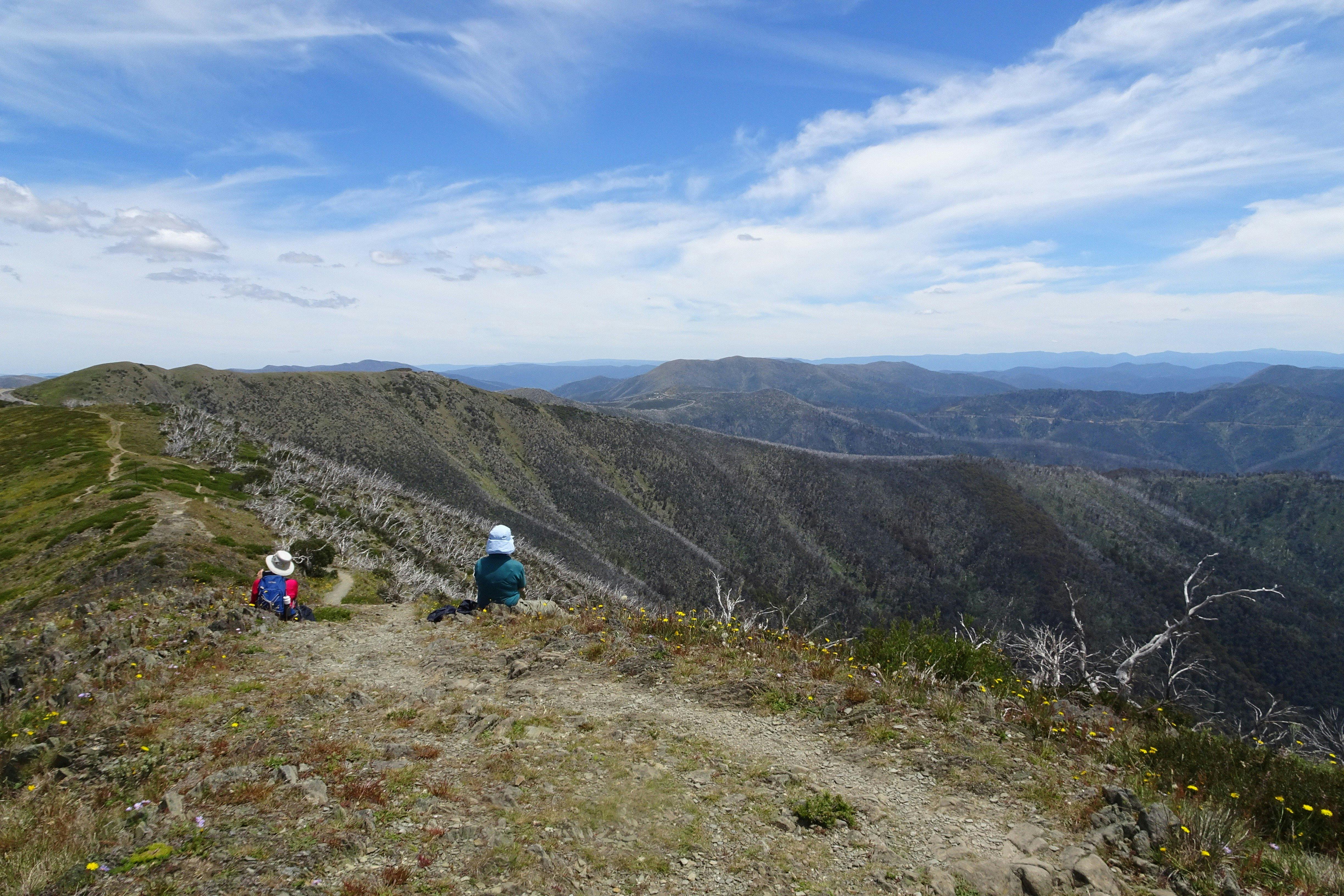 Gippsland High Country Tours