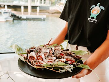 Coffin Bay Oysters Saltwater Eco Tours