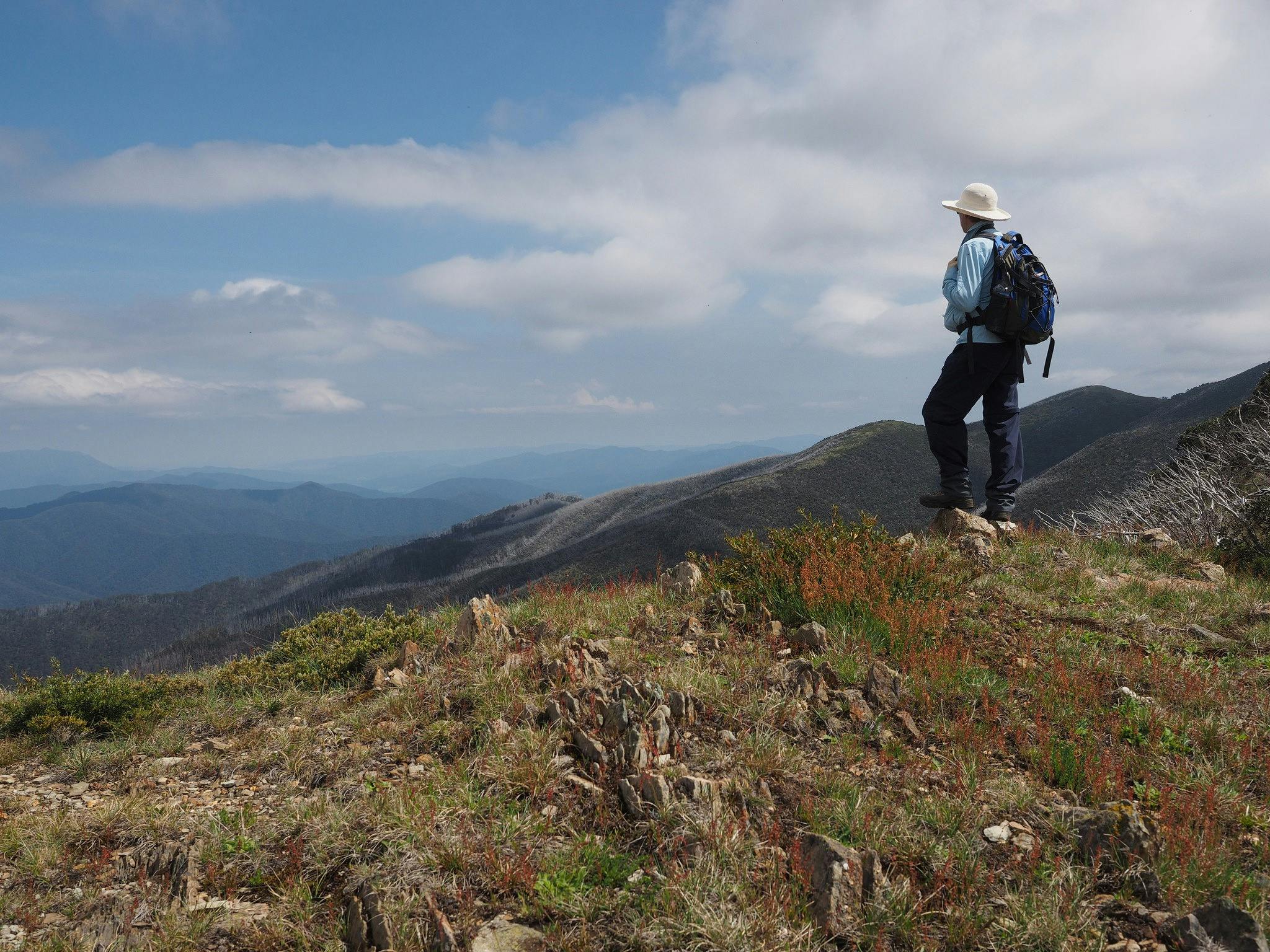 Victorian High Country