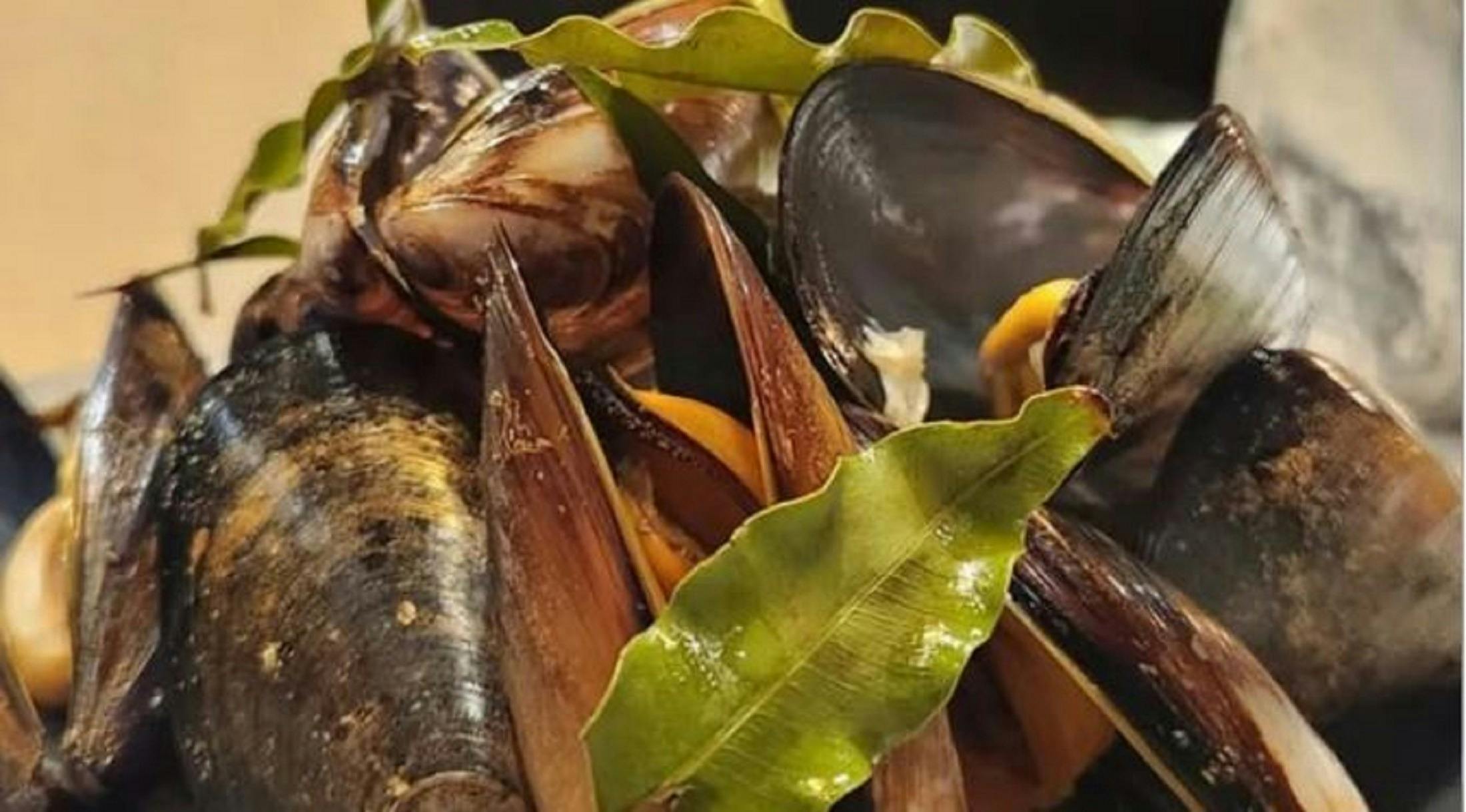 Shoalhaven Food Network