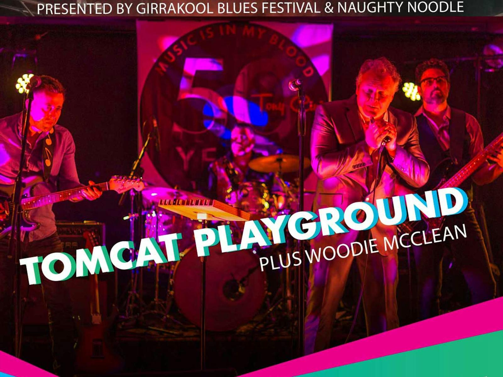 Image for Blues at the Fun Haus | Tomcat Playground