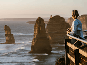 The Private Tour Guide