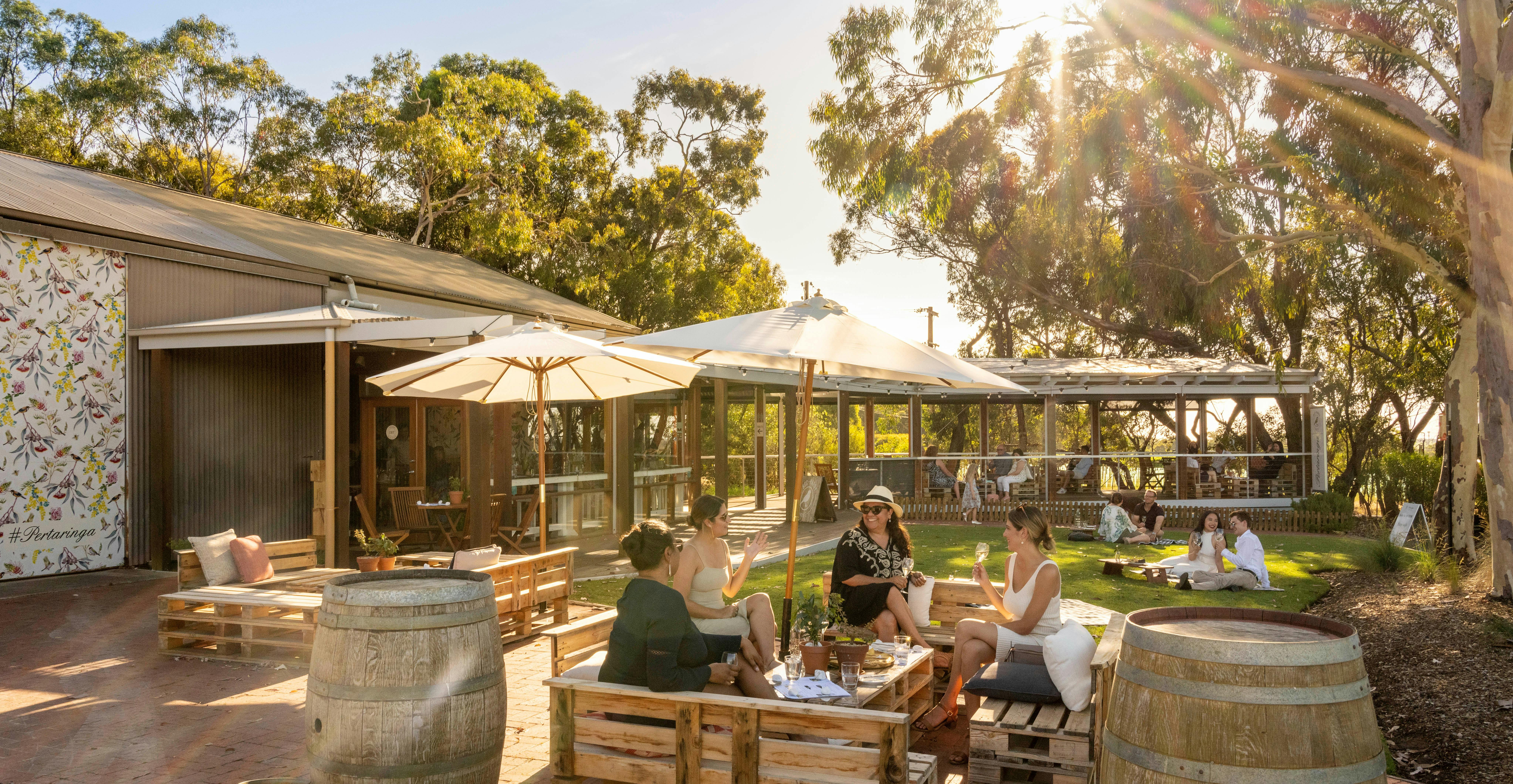 Summer Twilight Session at Bec Hardy Wines