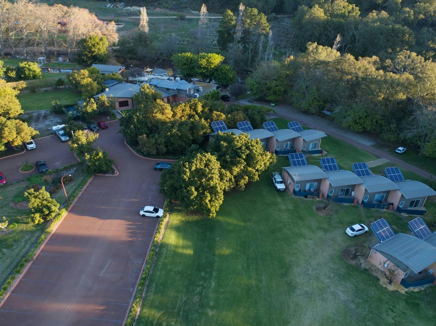 Avocados Perth