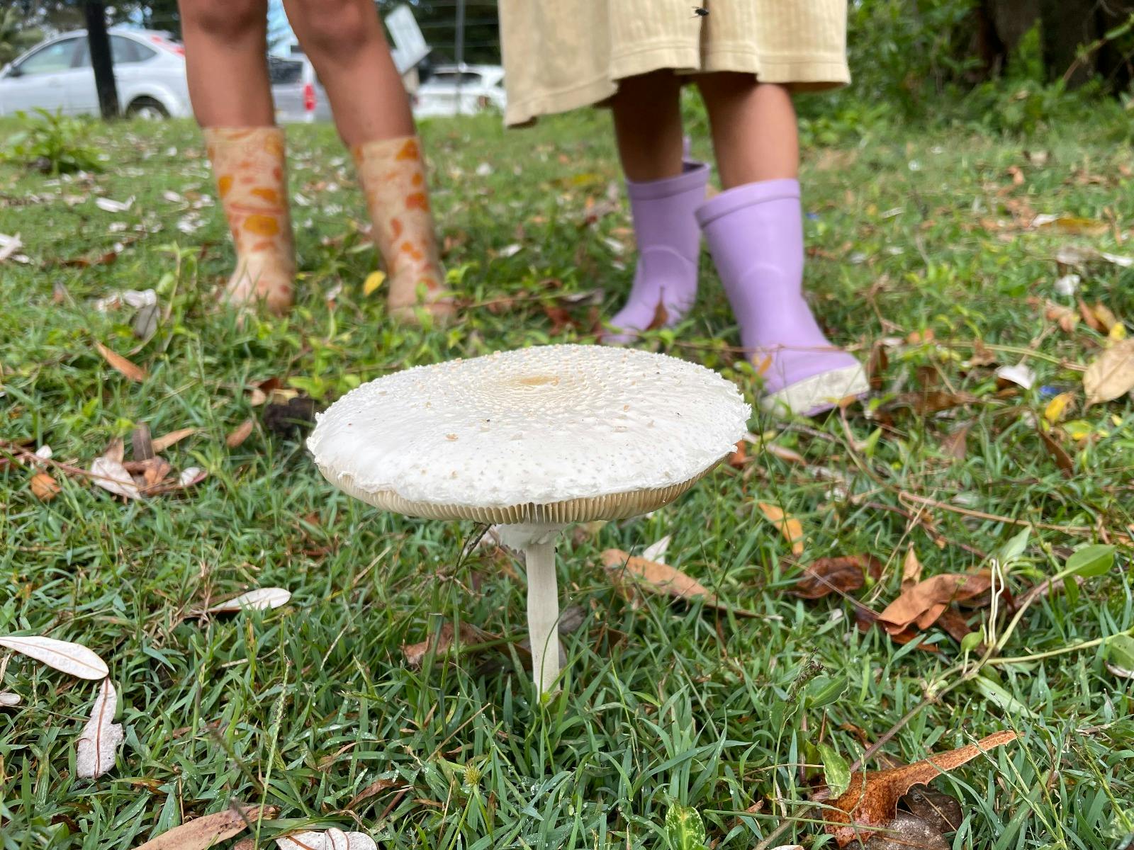 Two children in gumboots stand next to a tall white mushroom