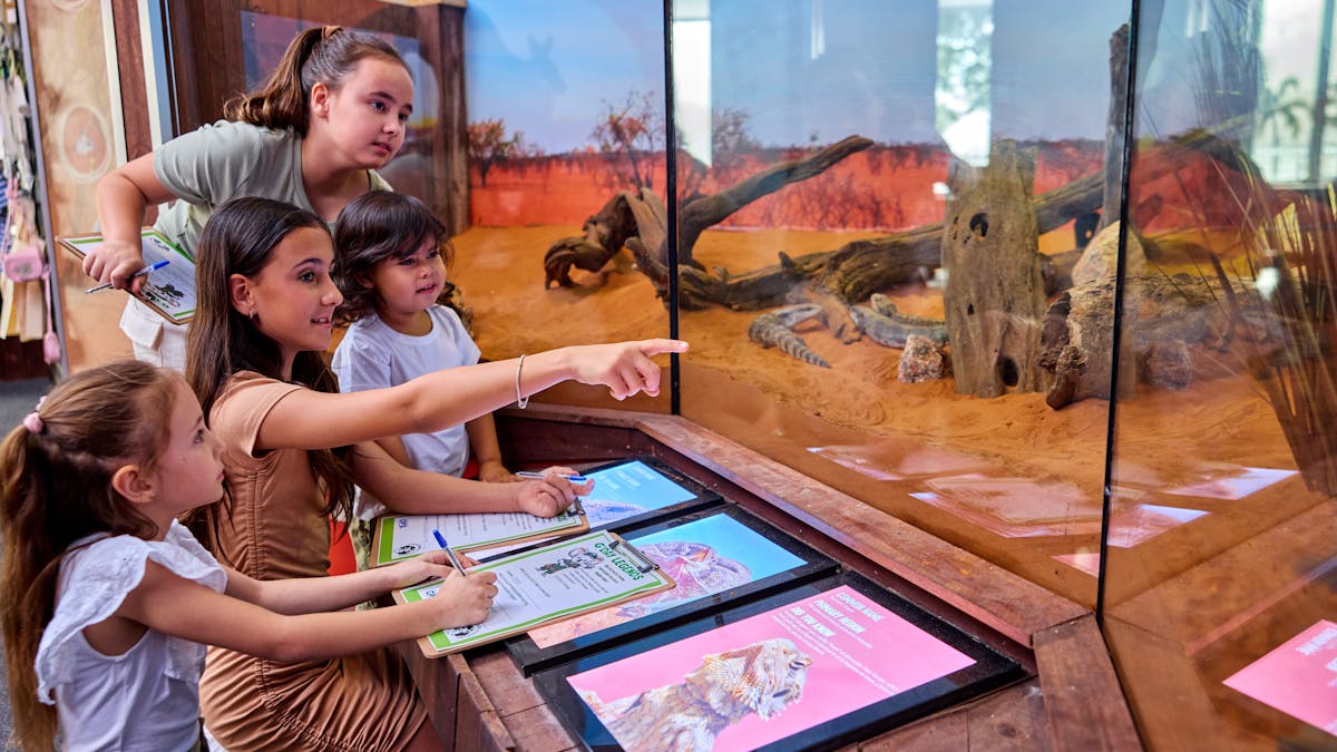 A group of 4 children, holding pens and activity sheets, looking at 3 Blue-tongued skinks.