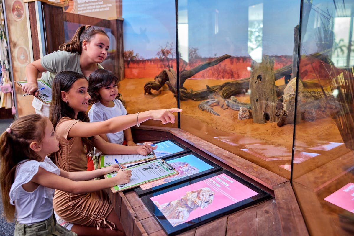 A group of 4 children, holding pens and activity sheets, looking at 3 Blue-tongued skinks.