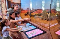 A group of 4 children, holding pens and activity sheets, looking at 3 Blue-tongued skinks.