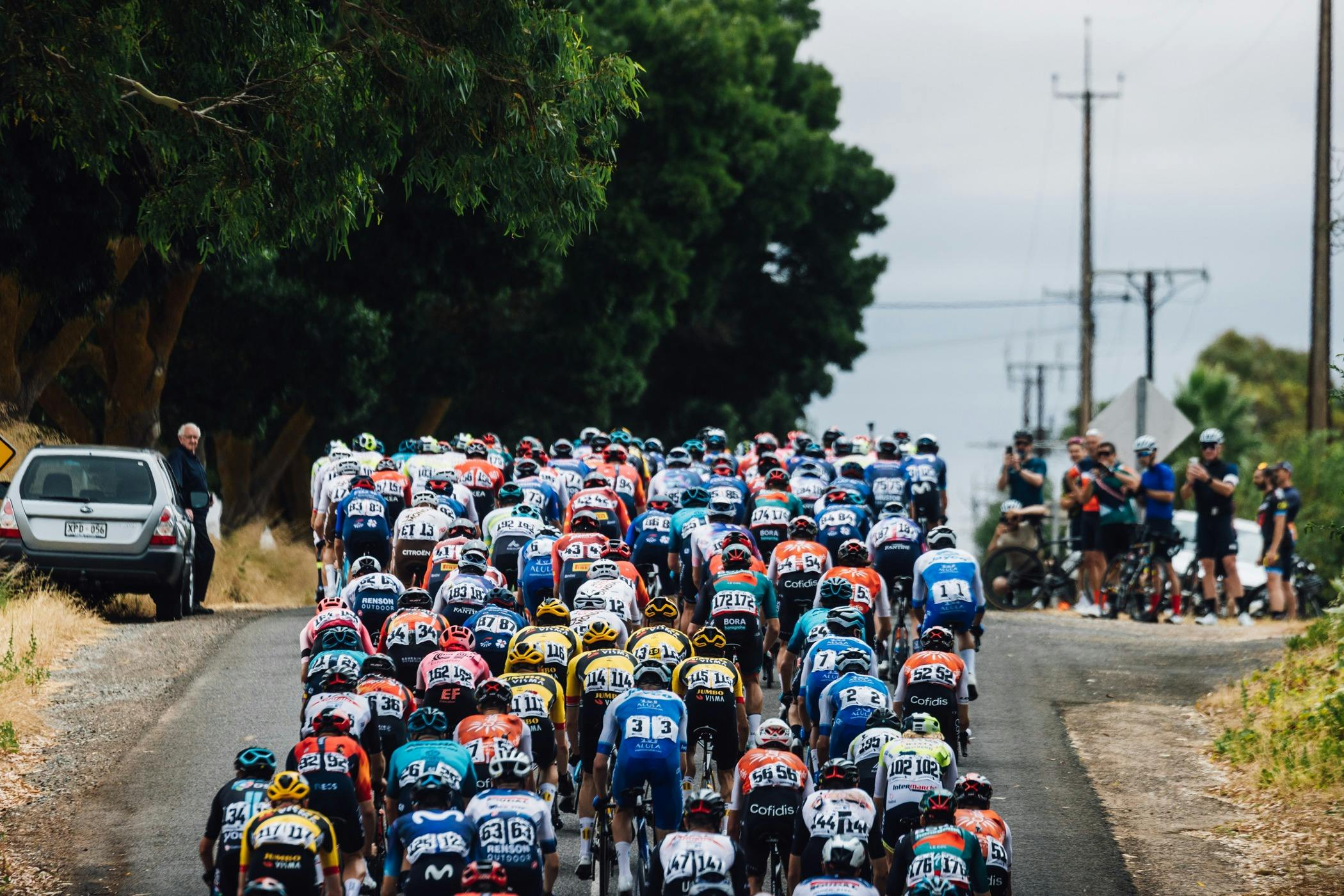 Santos Tour Down Under - Ziptrak® Men's Stage 1