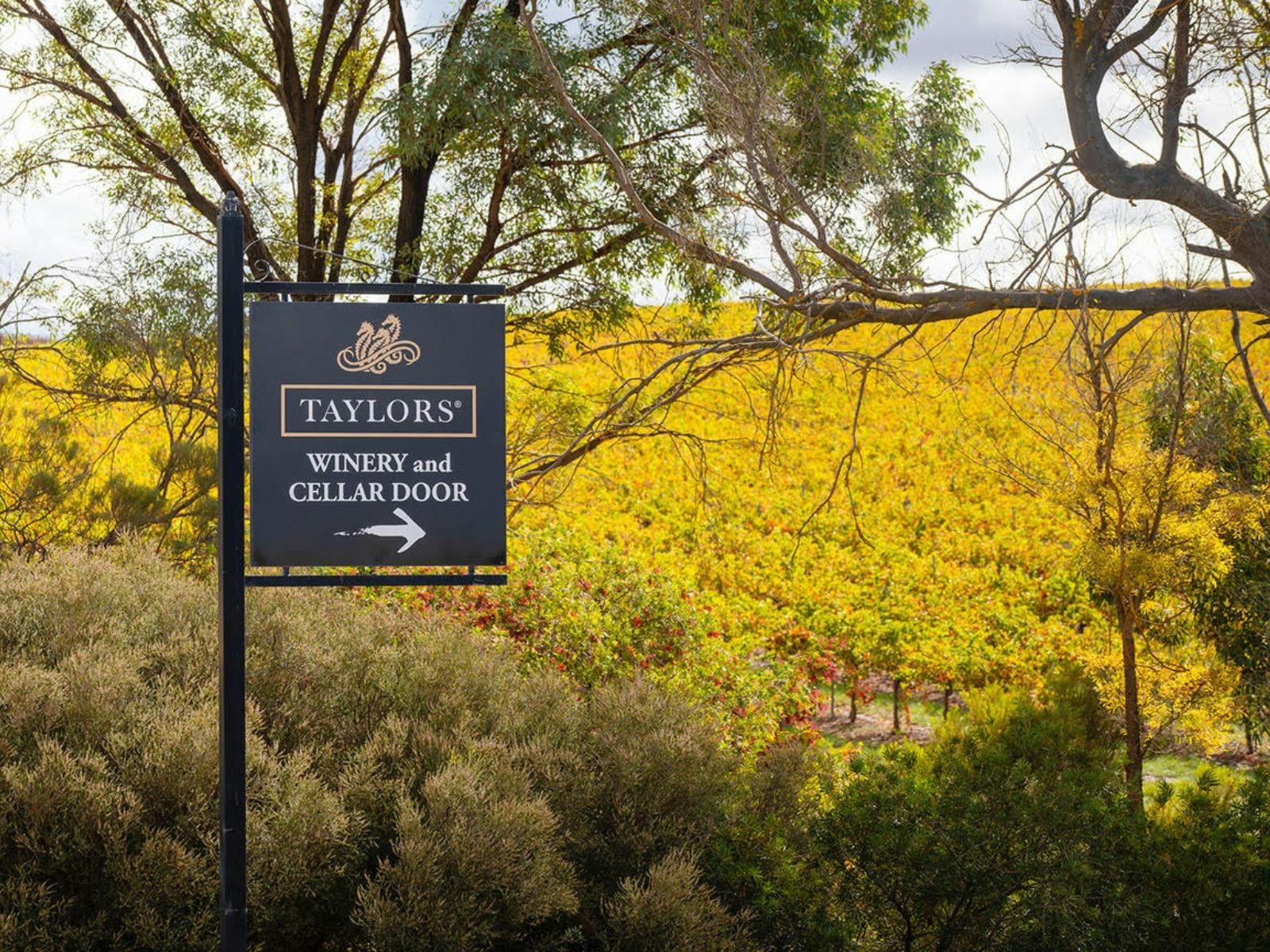 Auburn Wine Walk