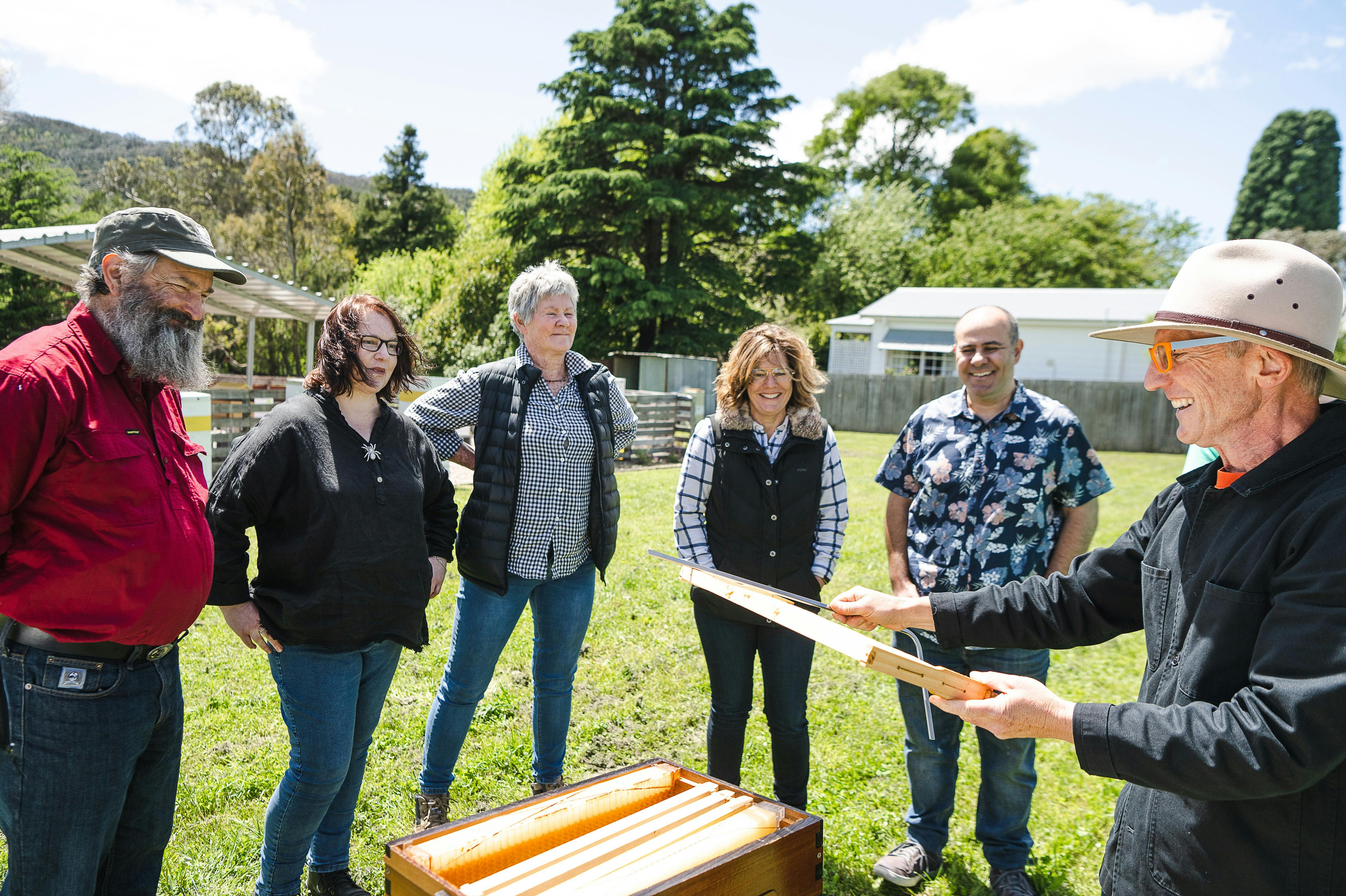 Learn about bees