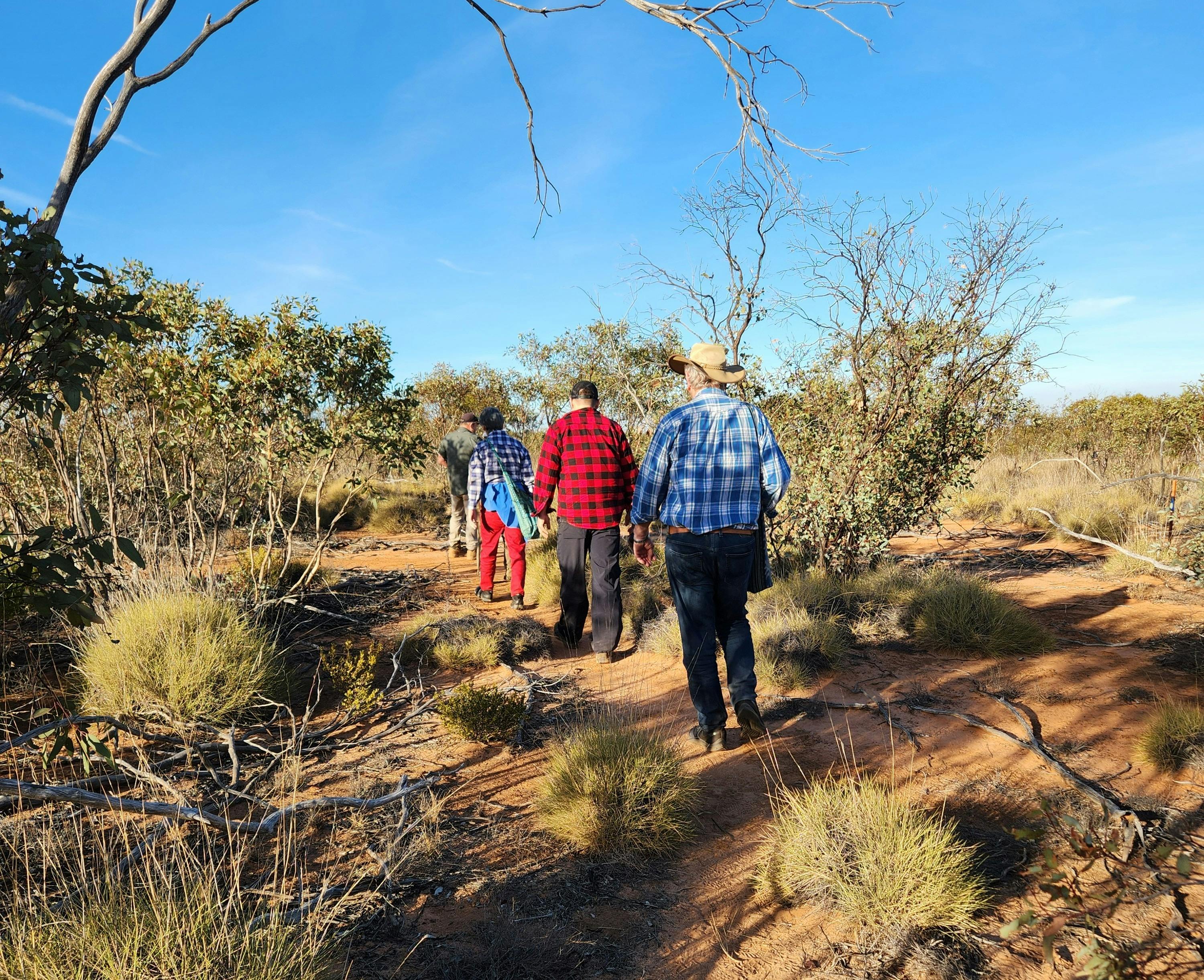 Bush food hiking