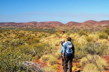 Larapinta Challenger Trek - 5 days