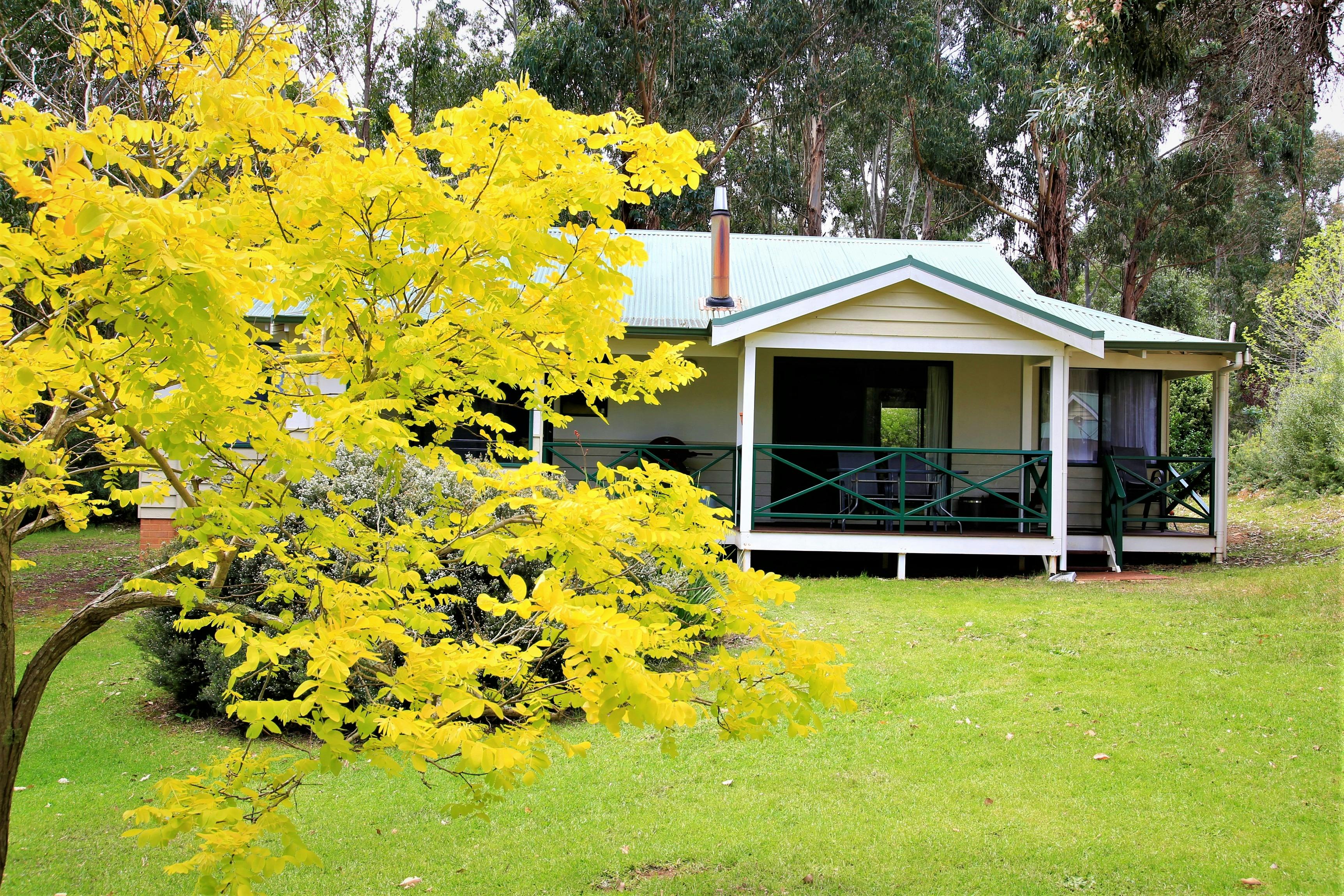 Gannet Garden View Spa Chalet