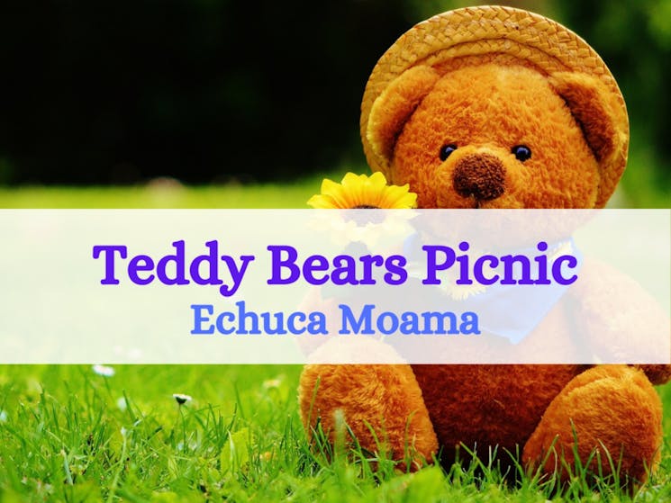 Teddy Bears Picnic