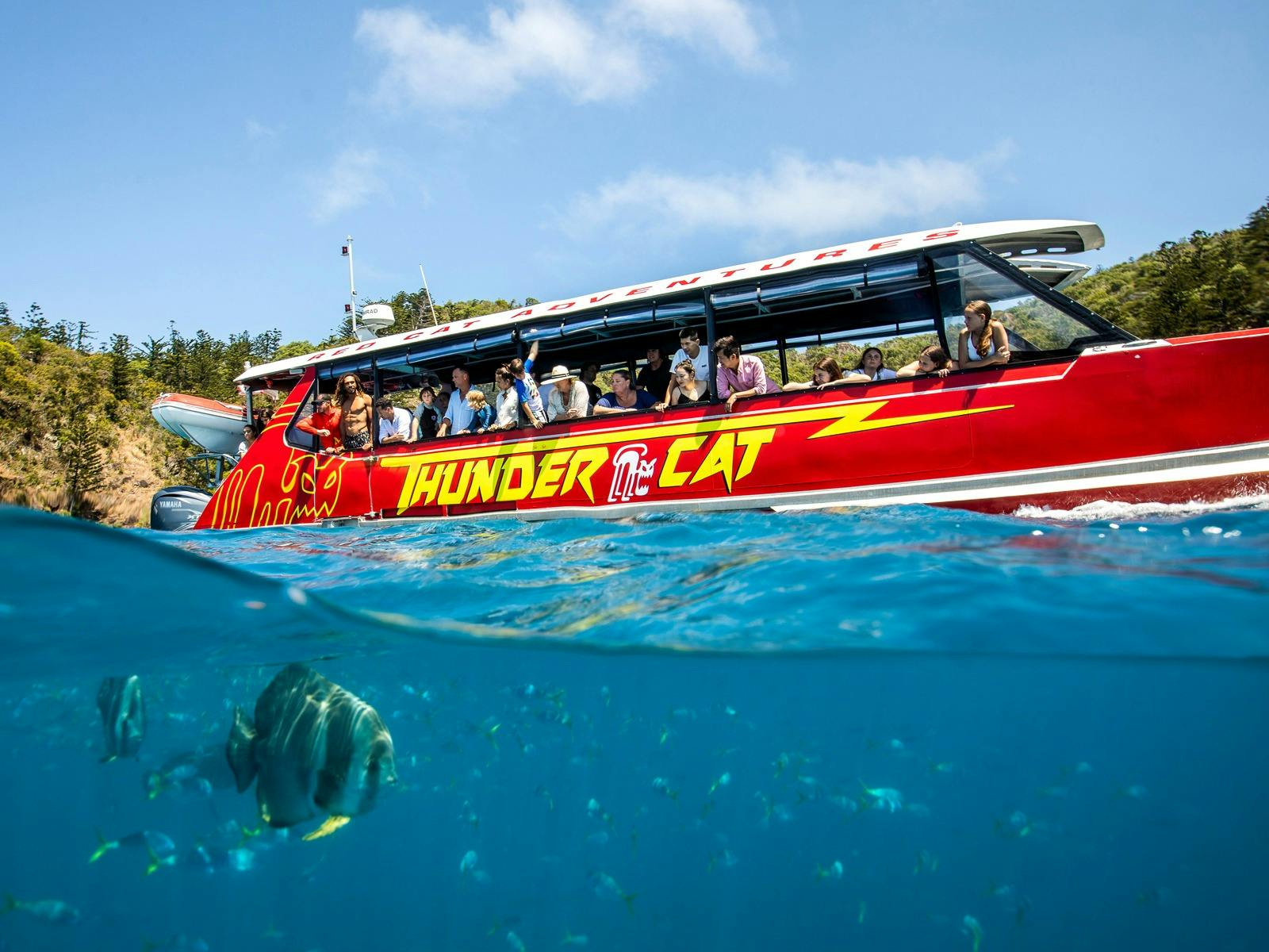 Red Cat Adventures - Thundercat Day Tour - Fish Feeding