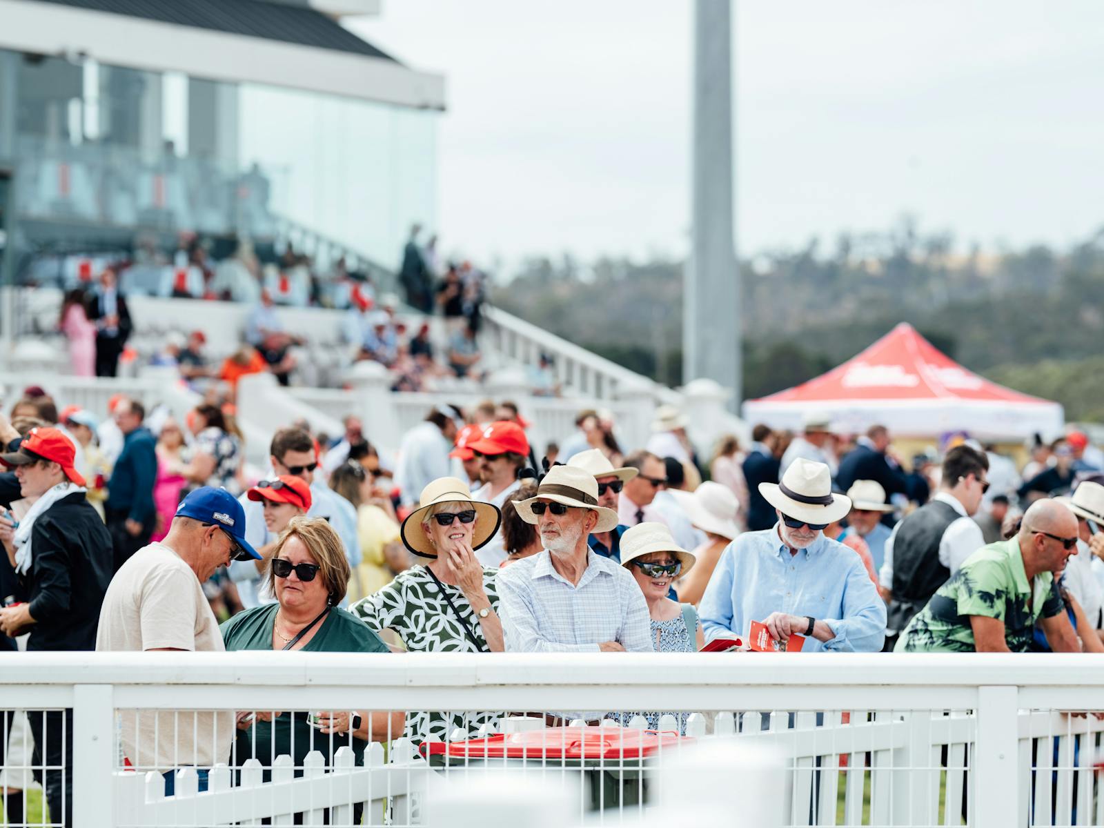 Tasmanian Turf Club